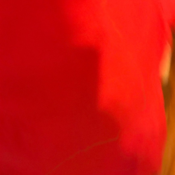 Like new Bench cotton dress size L - Picture 6 of 6